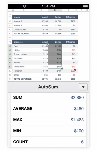 AutoSum of a data table